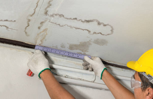 Reliable Burst Pipe Cleanup contractor in Manchester, MI by Local Water Damage Repair